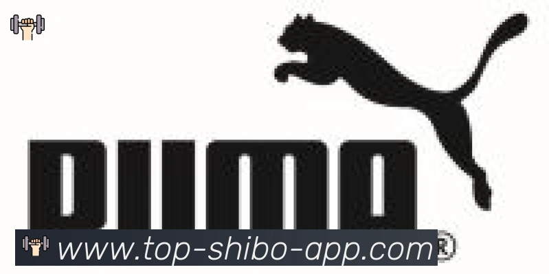 世博体育官网合作伙伴